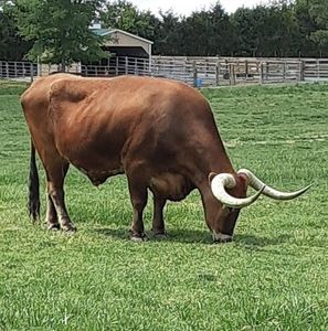 Meet your Posher, Victor